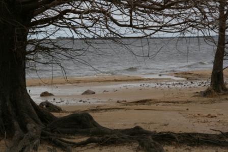 Am Strand in San Gregorio
